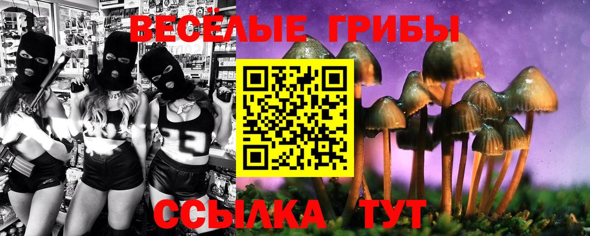 Псилоцибиновые грибы GOLDEN TEACHER  купить  цена  Великие Луки  Вход с VPN 