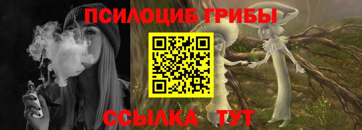 Псилоцибиновые грибы Psilocybe Великие Луки